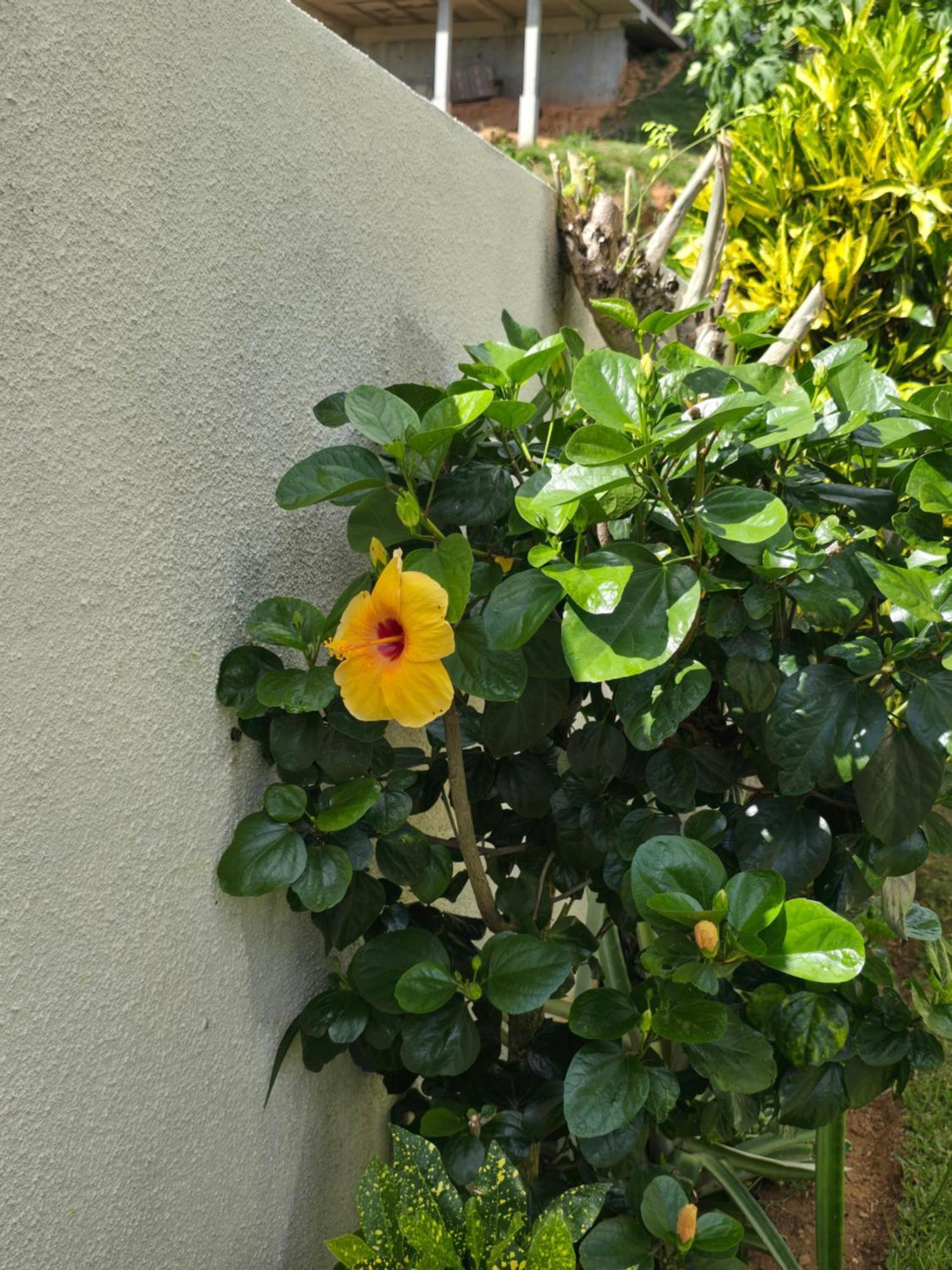 Emma'S Guest House And Self-Catering Au Cap Bagian luar foto